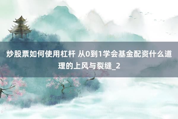 炒股票如何使用杠杆 从0到1学会基金配资什么道理的上风与裂缝_2